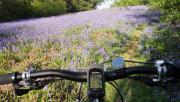 Mountain Biking/Wales/Cardiff/DSC01152