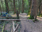 Mountain Biking/Wales/Cardiff/PXL_20240510_165805908