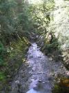 Mountain Biking/Wales/Coed-Y-Brenin/The Beast (Karrimor Trail)/P9060010