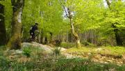 Mountain Biking/Wales/Coed-Y-Brenin/DSC01159