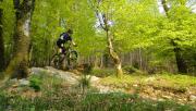 Mountain Biking/Wales/Coed-Y-Brenin/DSC01161