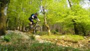 Mountain Biking/Wales/Coed-Y-Brenin/DSC01163