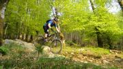 Mountain Biking/Wales/Coed-Y-Brenin/DSC01164
