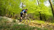 Mountain Biking/Wales/Coed-Y-Brenin/DSC01165
