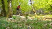 Mountain Biking/Wales/Coed-Y-Brenin/DSC01172