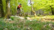 Mountain Biking/Wales/Coed-Y-Brenin/DSC01173