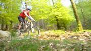 Mountain Biking/Wales/Coed-Y-Brenin/DSC01177