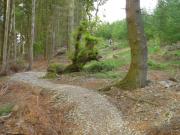 Mountain Biking/Wales/Cwm Rhaeadr/DSC01314