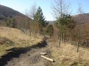 Mountain Biking/Wales/Cwmcarn/Twrch Trail/DSC06479