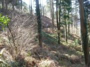 Mountain Biking/Wales/Cwmcarn/Twrch Trail/DSC06480