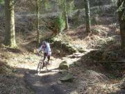 Mountain Biking/Wales/Cwmcarn/Twrch Trail/DSC06482
