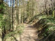 Mountain Biking/Wales/Cwmcarn/Twrch Trail/DSC06483