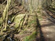 Mountain Biking/Wales/Cwmcarn/Twrch Trail/DSC06485