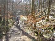 Mountain Biking/Wales/Cwmcarn/Twrch Trail/DSC06486
