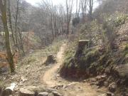 Mountain Biking/Wales/Cwmcarn/Twrch Trail/DSC06489