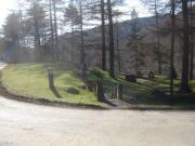 Mountain Biking/Wales/Cwmcarn/Twrch Trail/DSC06496
