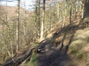 Mountain Biking/Wales/Cwmcarn/Twrch Trail/DSC06497