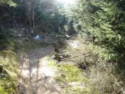 Mountain Biking/Wales/Cwmcarn/Twrch Trail/DSC06521
