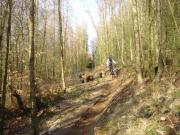 Mountain Biking/Wales/Cwmcarn/Twrch Trail/DSC06529