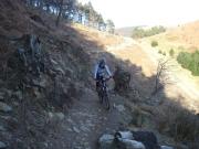 Mountain Biking/Wales/Cwmcarn/Twrch Trail/DSC06548