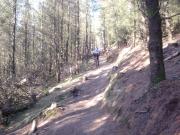 Mountain Biking/Wales/Cwmcarn/Twrch Trail/DSC06575