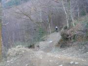 Mountain Biking/Wales/Cwmcarn/Twrch Trail/DSC06585