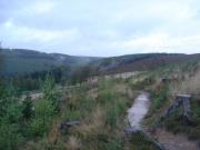 Mountain Biking/Wales/Cwmcarn/Twrch Trail/DSC08729