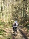 Mountain Biking/Wales/Cwmcarn/Twrch Trail/P3190073