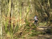 Mountain Biking/Wales/Cwmcarn/Twrch Trail/P3190076