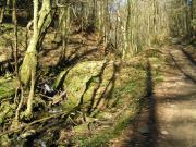 Mountain Biking/Wales/Cwmcarn/Twrch Trail/P3190078