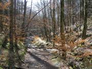 Mountain Biking/Wales/Cwmcarn/Twrch Trail/P3190079