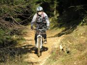 Mountain Biking/Wales/Cwmcarn/Twrch Trail/P3190085