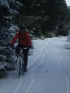 Mountain Biking/Wales/Irfon Forest and Doethie Valley/DSCF8862