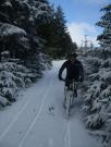 Mountain Biking/Wales/Irfon Forest and Doethie Valley/DSCF8863