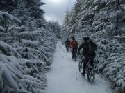 Mountain Biking/Wales/Irfon Forest and Doethie Valley/DSCF8864