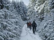 Mountain Biking/Wales/Irfon Forest and Doethie Valley/DSCF8865