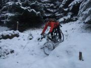 Mountain Biking/Wales/Irfon Forest and Doethie Valley/DSCF8869