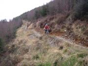 Mountain Biking/Wales/Machynlleth/Cli-machx/DSC06198