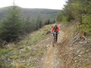 Mountain Biking/Wales/Machynlleth/Cli-machx/DSC06206