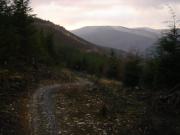 Mountain Biking/Wales/Machynlleth/Cli-machx/DSC06216