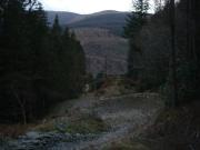 Mountain Biking/Wales/Machynlleth/Cli-machx/DSC06226