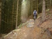 Mountain Biking/Wales/Machynlleth/Cli-machx/DSC08568