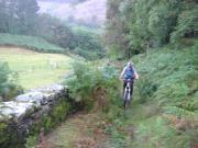 Mountain Biking/Wales/Machynlleth/Mach 1/DSC08428