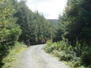 Mountain Biking/Wales/Machynlleth/Mach 3/DSC00083