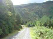 Mountain Biking/Wales/Machynlleth/Mach 3/DSC00086