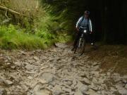Mountain Biking/Wales/Machynlleth/Mach 3/DSC08551