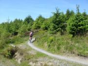 Mountain Biking/Wales/Nant-yr-Arian/DSC07351