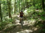 Mountain Biking/Wales/Nant-yr-Arian/DSC07454