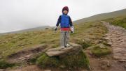 Mountain Walking/Wales/DSC03501