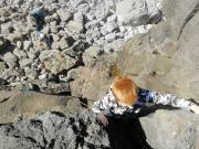 Rock climbing/South Wales/Box Bay/IMG_20200322_124107